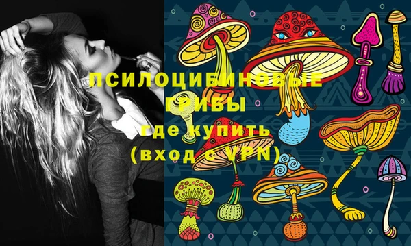гидропоника Няндома