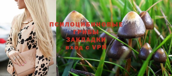 jwh Нязепетровск