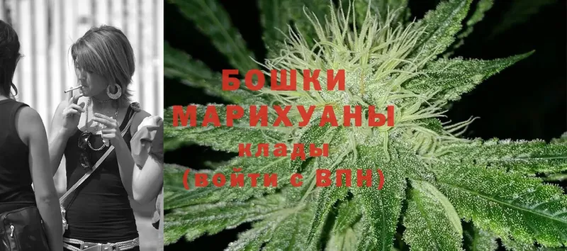 где купить наркоту  Красный Холм  Шишки марихуана SATIVA & INDICA 